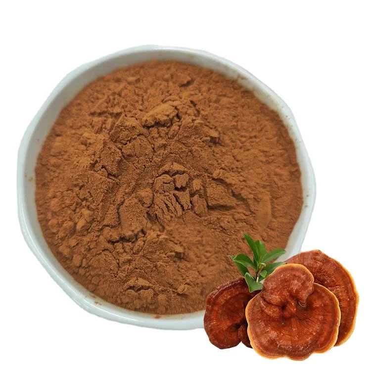 Натуральный органический экстракт Lingzhi Ganoderma Lucidum порошок 40% полисахаридов грибов рейши