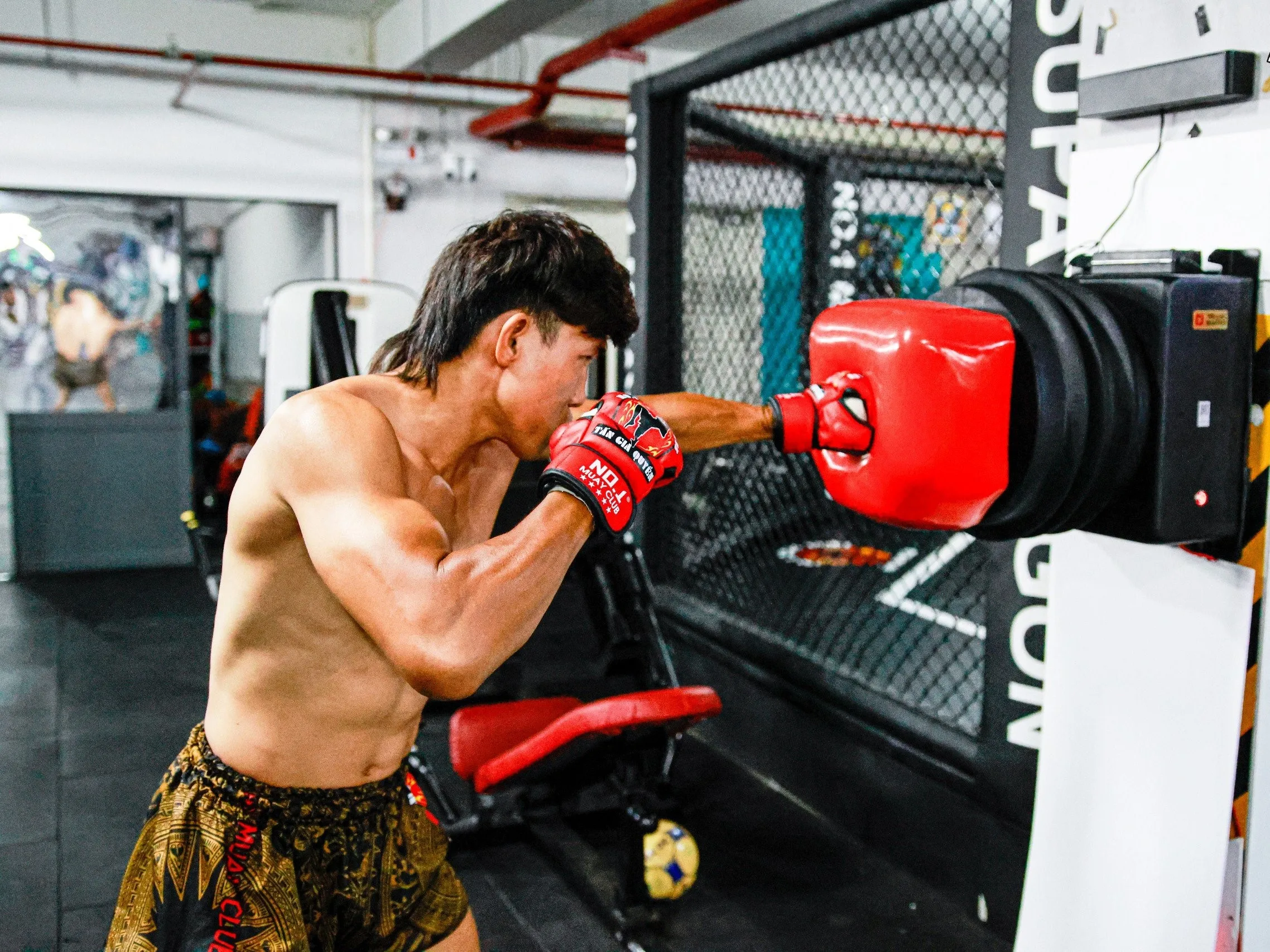 Compact and portable Champio Tri Luc Master boxing and martial arts training machine with easy installation and use