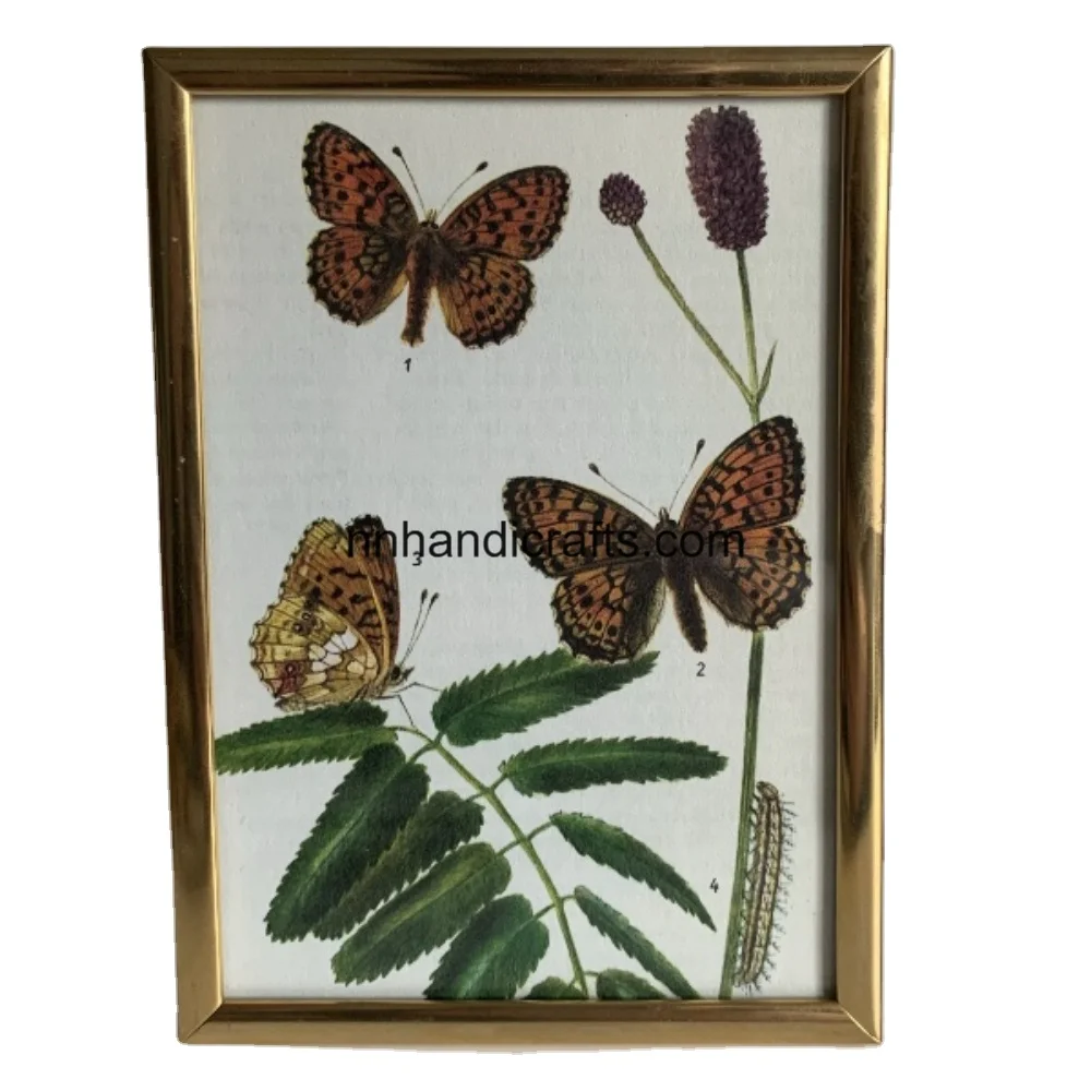 Top Quality Metal Steel Iron Gold Plated Golden Rectangular Table Frames Poster Frames Image Frame For Girl Friend & Boy Friend