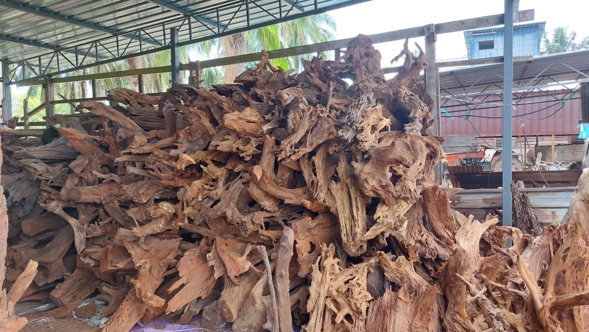 Best Selling Driftwood Malaysia Huge Shape Round Tank Decoration Terrarium Aquascape Nano Mangrove Roots Aquarium & Accessories