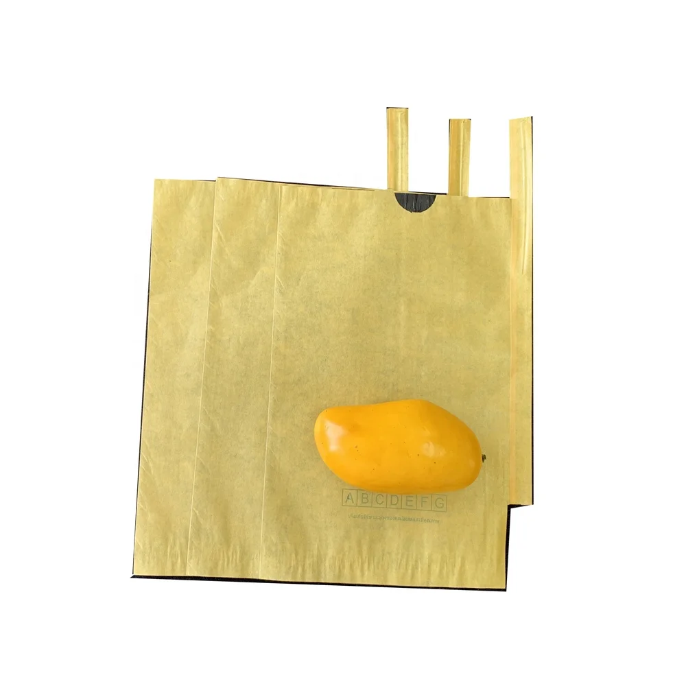 Quality Mango Fruit Protection Growing Paper Bag Anti Pests Double Layers Bag for Fruit Grow