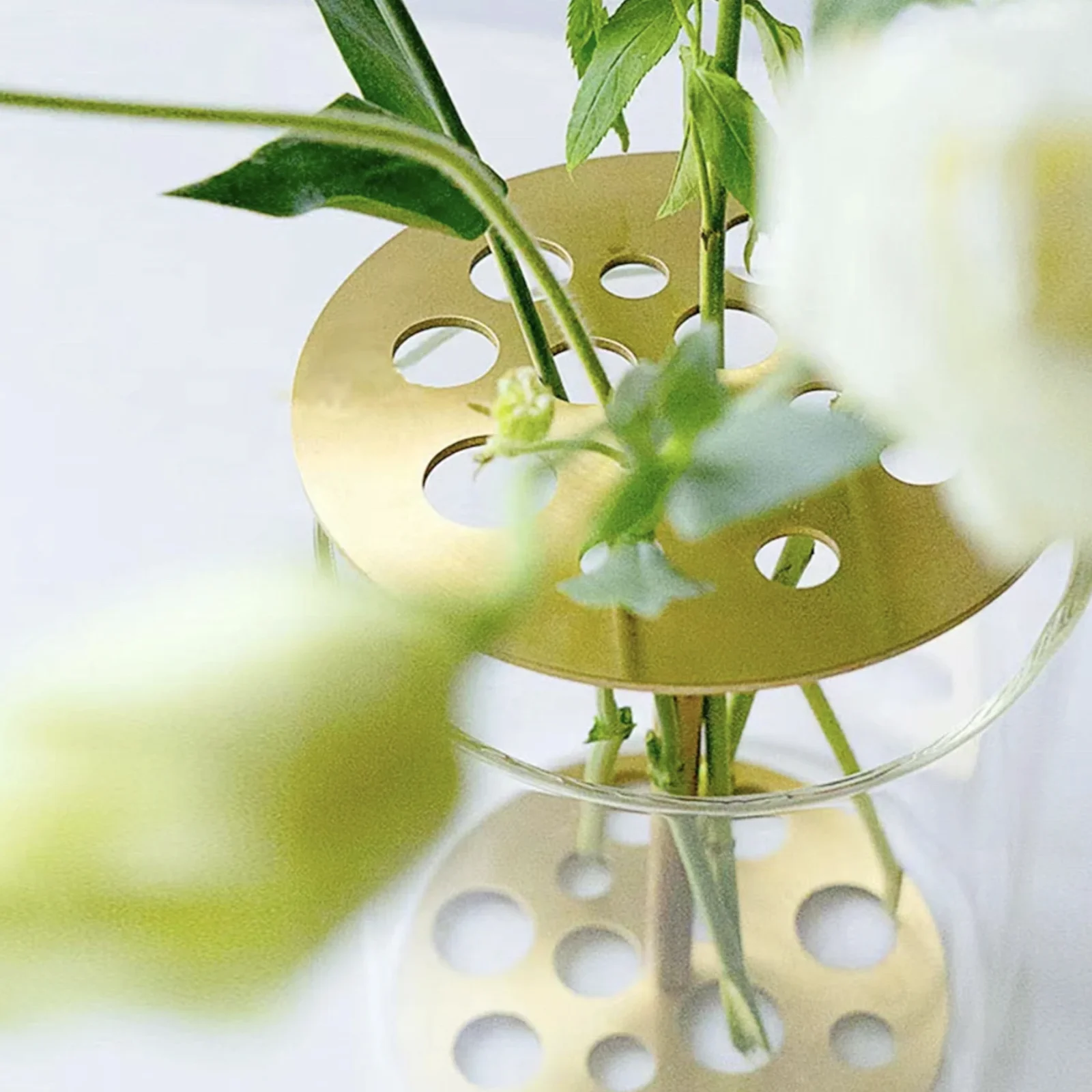 Minimalistic Lead Free Brass Borosilicate Glass Flower Frog Hydroponic Gold metal flower jar lid nordic modern high quality