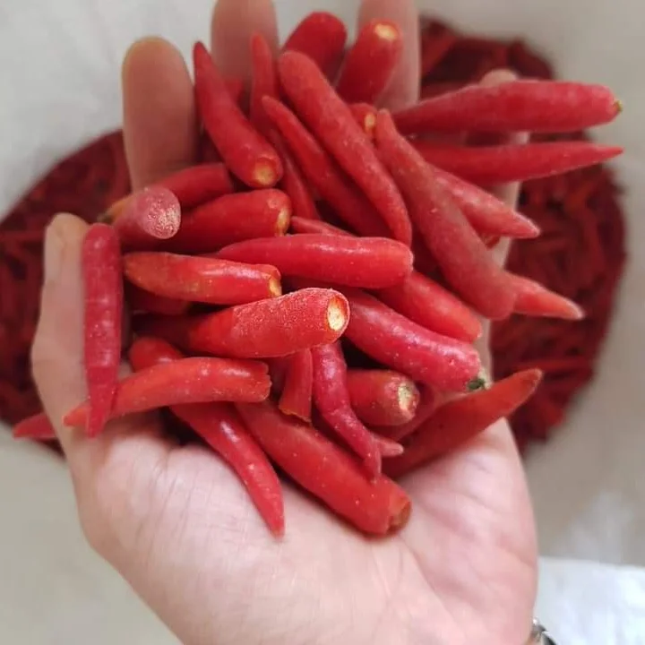 Frozen red  Pepper for export contact +84984418844