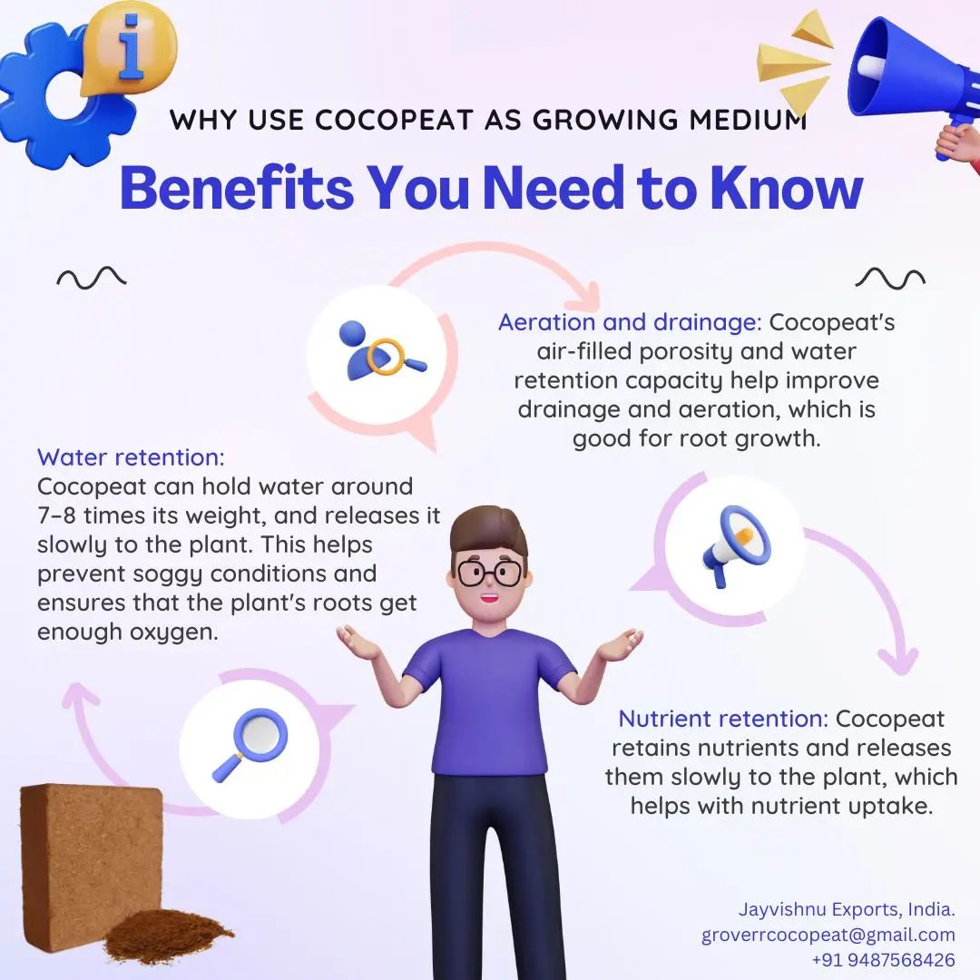 High Yielding Agricultural Prosperity COCO PEAT 5KG BLOCKS Wholesale Supply for Agricultural Waste on Sale!