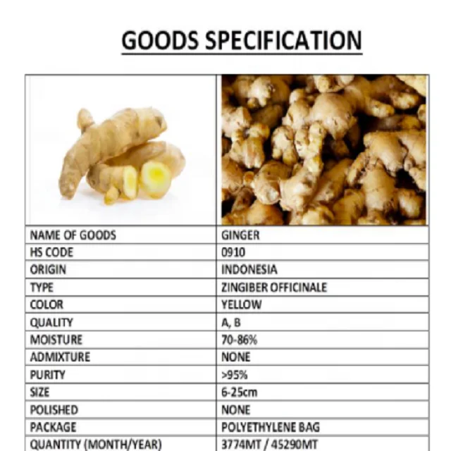 Best Product Spice Fresh Ginger Origin Indonesia Export Standard