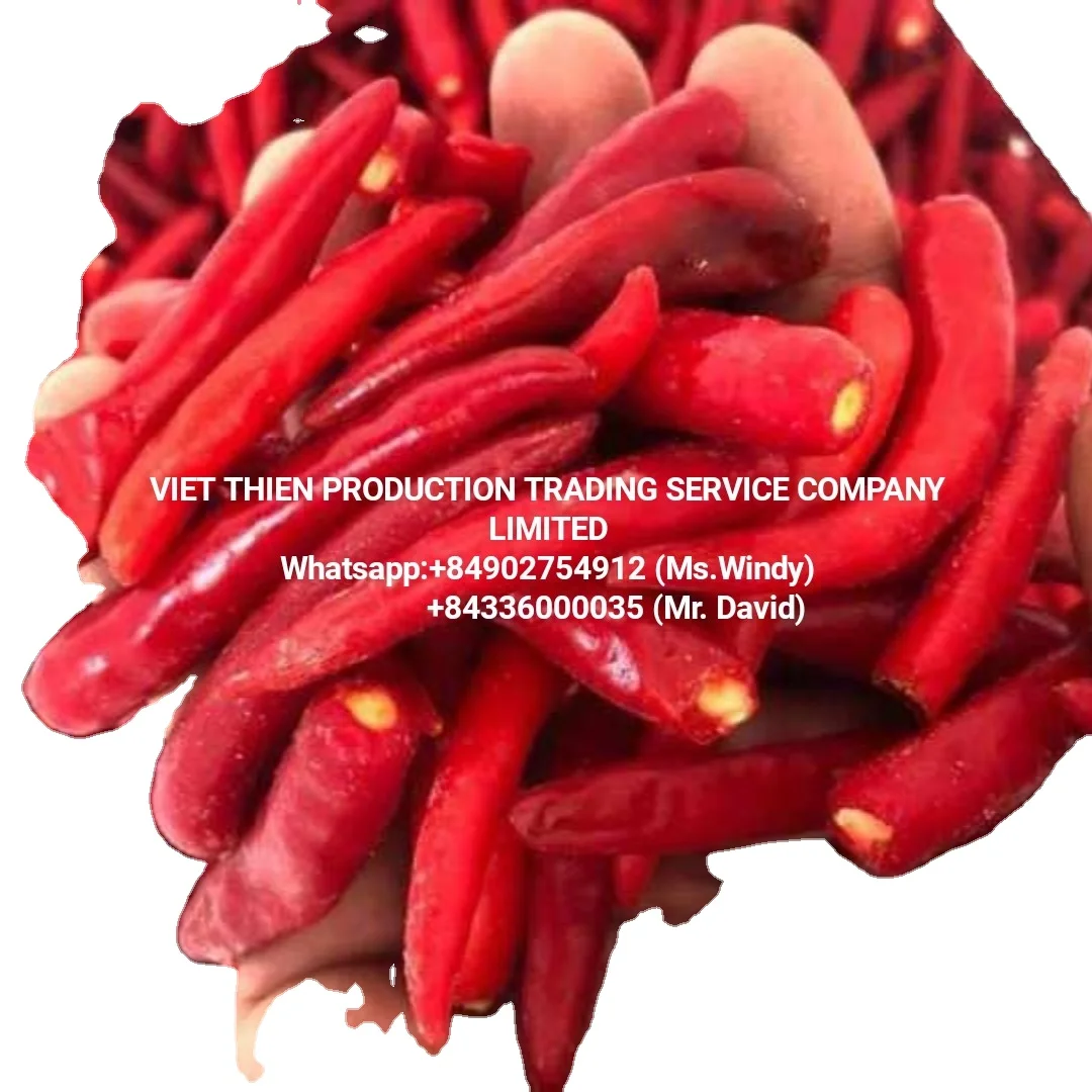 In binh dinh vietnam and available in bulk and wholesale price and best quality and hot spicy and used as spices chili frozen