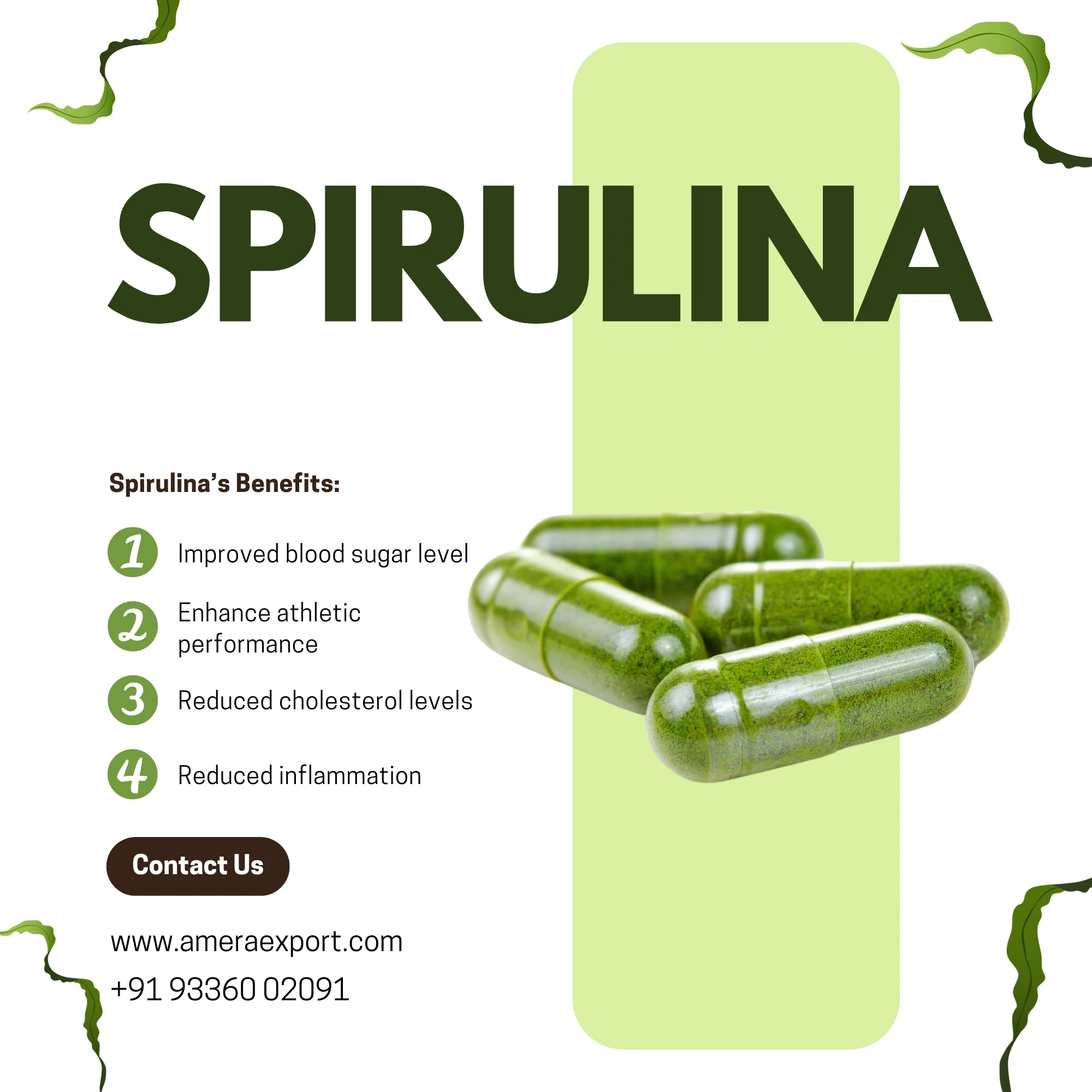 Spirulina Capsules Boost Energy & Immunity Supports Weight Management Manufacturer Direct Supply  Private Label Available