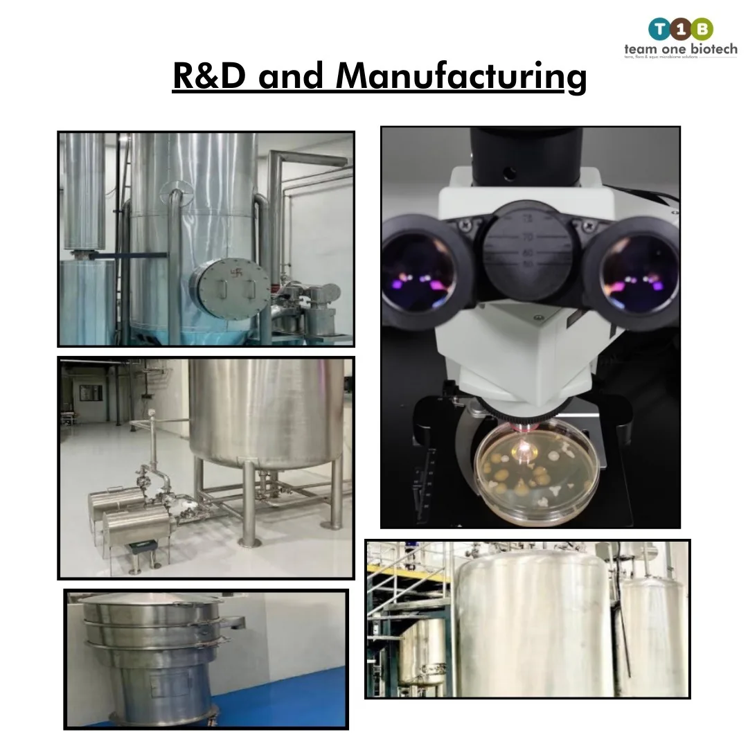 Aqua Probiotics for Clearer Biofloc Farming Water