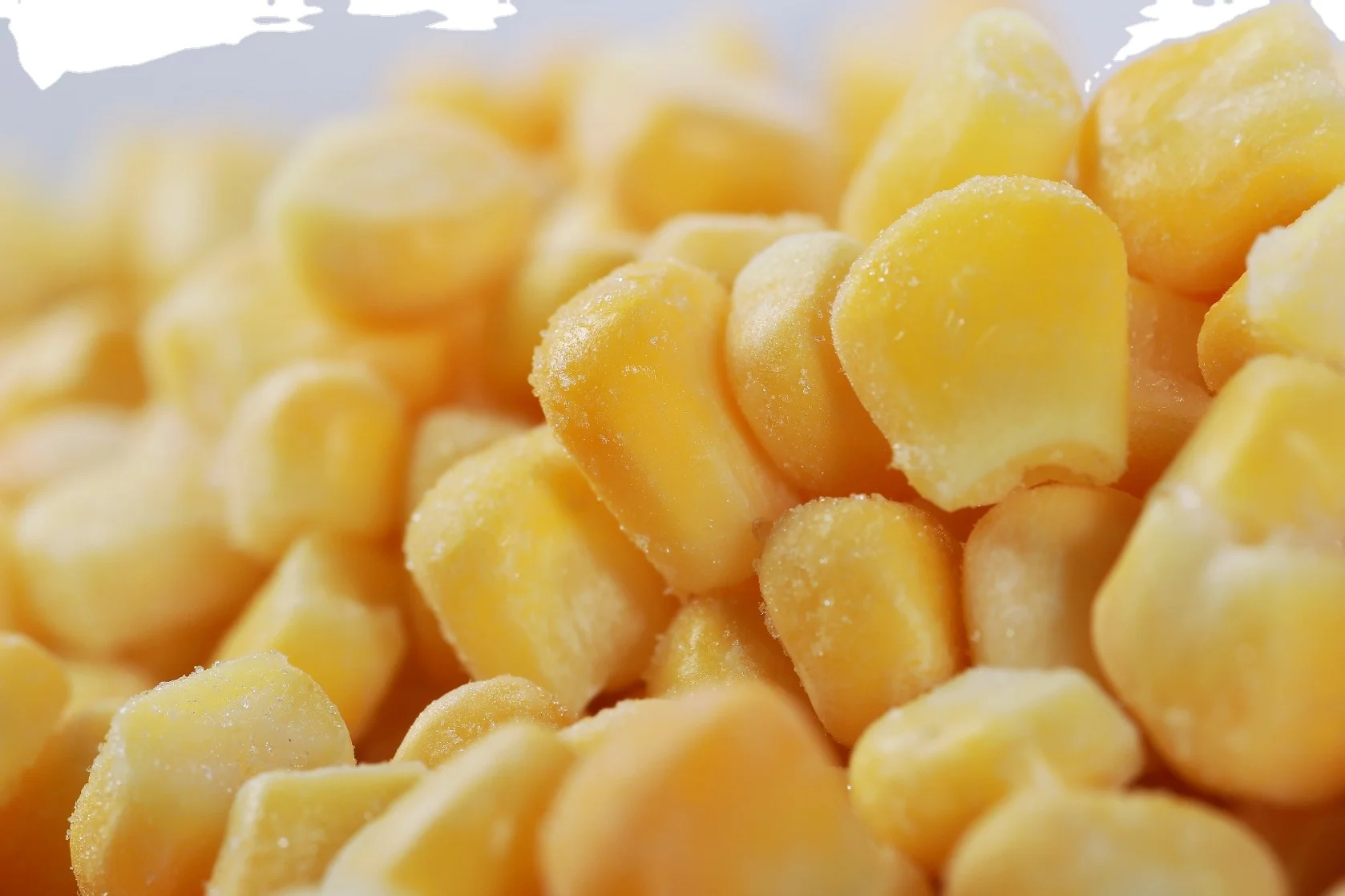  Желтая Кукуруза-ем с выбором