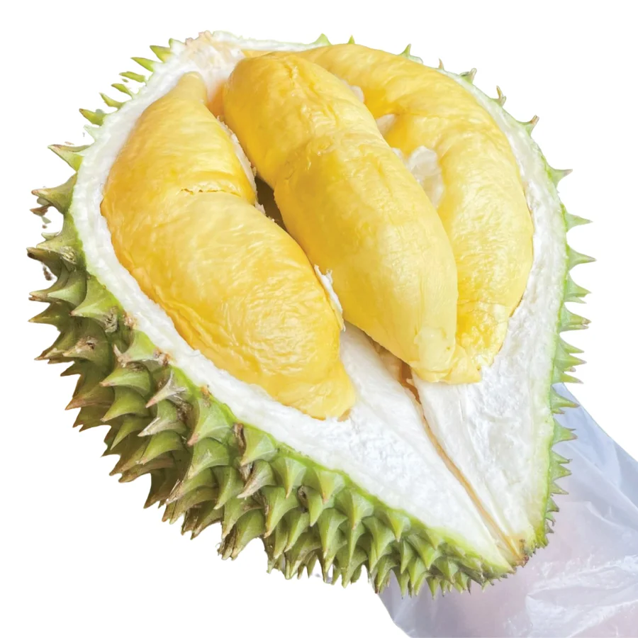 Wholesale With Competitive Price Durian With Best Price Export Quality From Vietnam Supplier