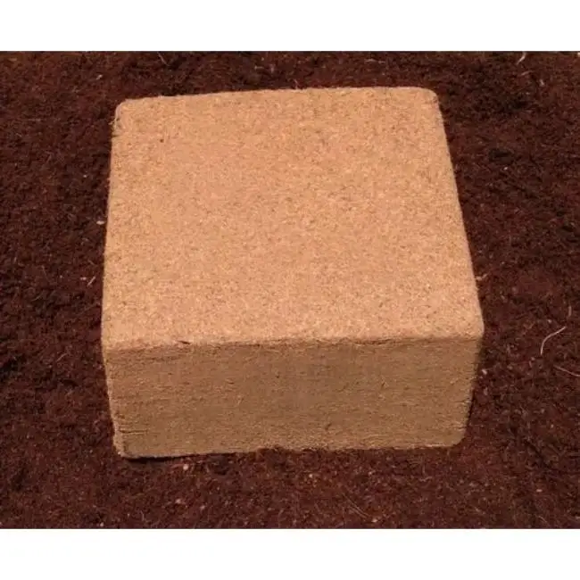 High Quality Performance Buffered Coir Peat 5kg Blocks Eco-Friendly 4732 Blocks in 22 Pallets for Garden Decoration Horticulture
