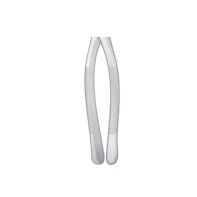 Stainless Steel Dental Extracting Forceps Upper Incisors and Roots