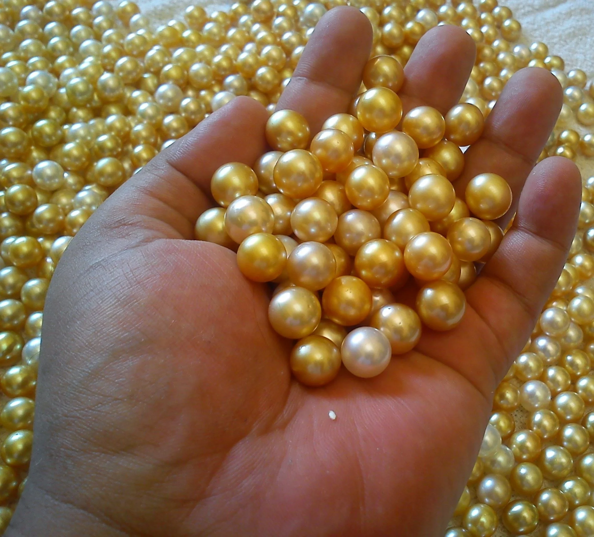 
 Оптовая продажа жемчужин для соленой воды  