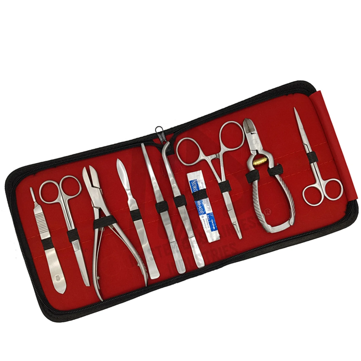 OEM ISO Certified Aquarium Tools Coral propagation tools stainless steel coral reef cutters coral fragging tools kit kitchen PK