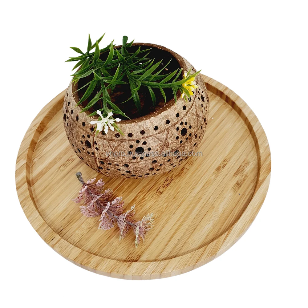 
Coconut bowl high quality from manufacturer in Vietnam - VNPRO 