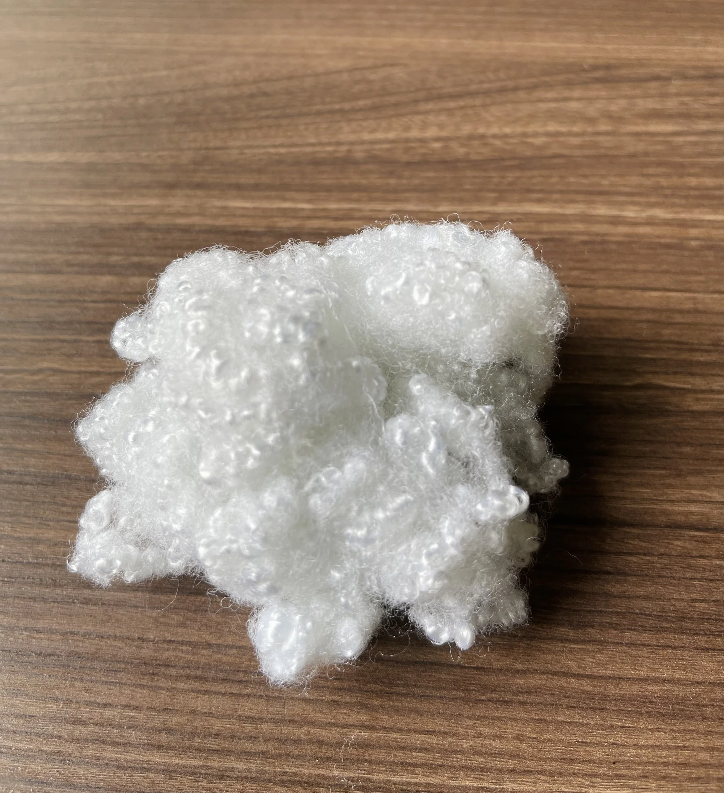 Hollow Conjugated Siliconized Polyester Staple Fiber HCS  white 7D64mm from largest fiber factory in Vietnam