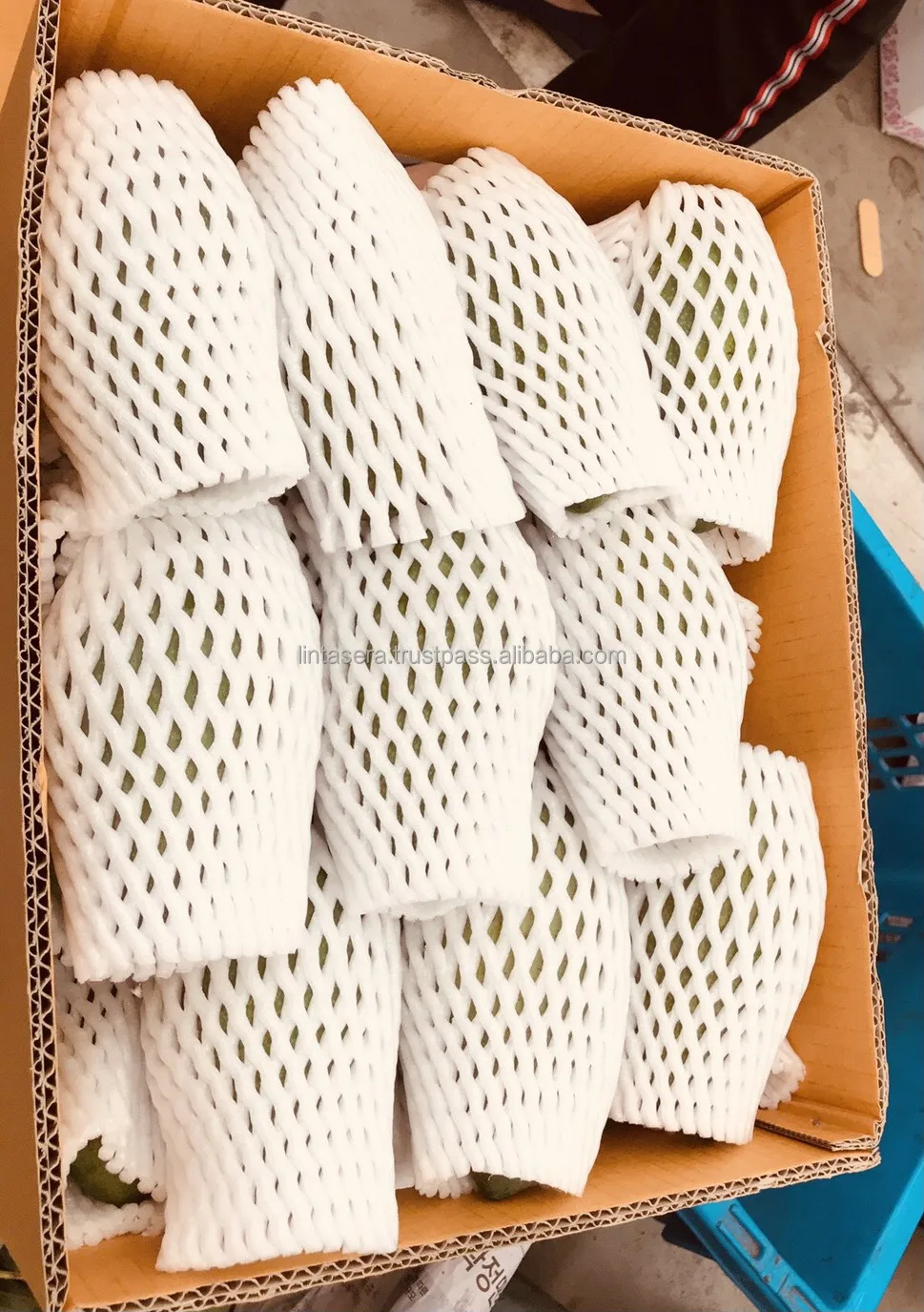 
Thailand Best Export Quality Green Mangoes 