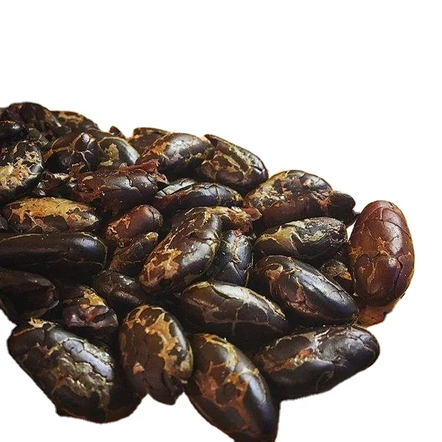 DRIED QUALITY CRIOLLO COCOA BEANS FOR SALE AT CHEAP AND AFFORDABLE PRICE
