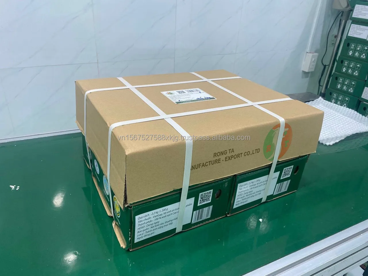 High quality fresh mangoes fruit exported from reputable manufacturers in Vietnam