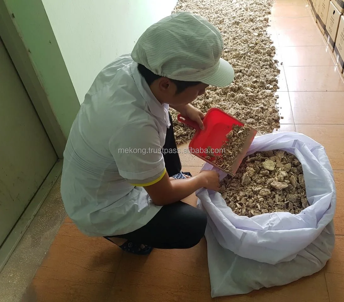 Wholesale Cheap Bulk Clean And Pure Hand Selected Benzoin Gum/ Benzoin Siam Resin For Oil From Viet Nam