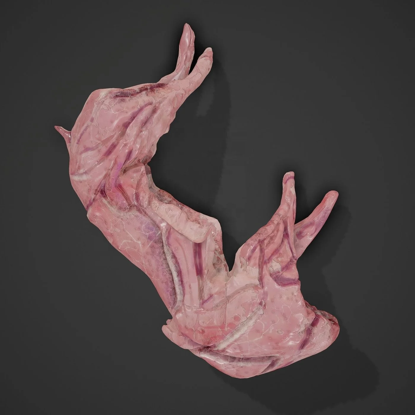 Best Quality Frozen Rabbit Meat and Parts