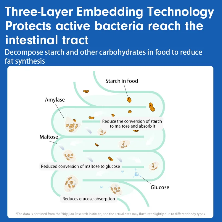 Private label Probiotics vegan prebiotic supplements gut health powder diabetic products blood sugar control