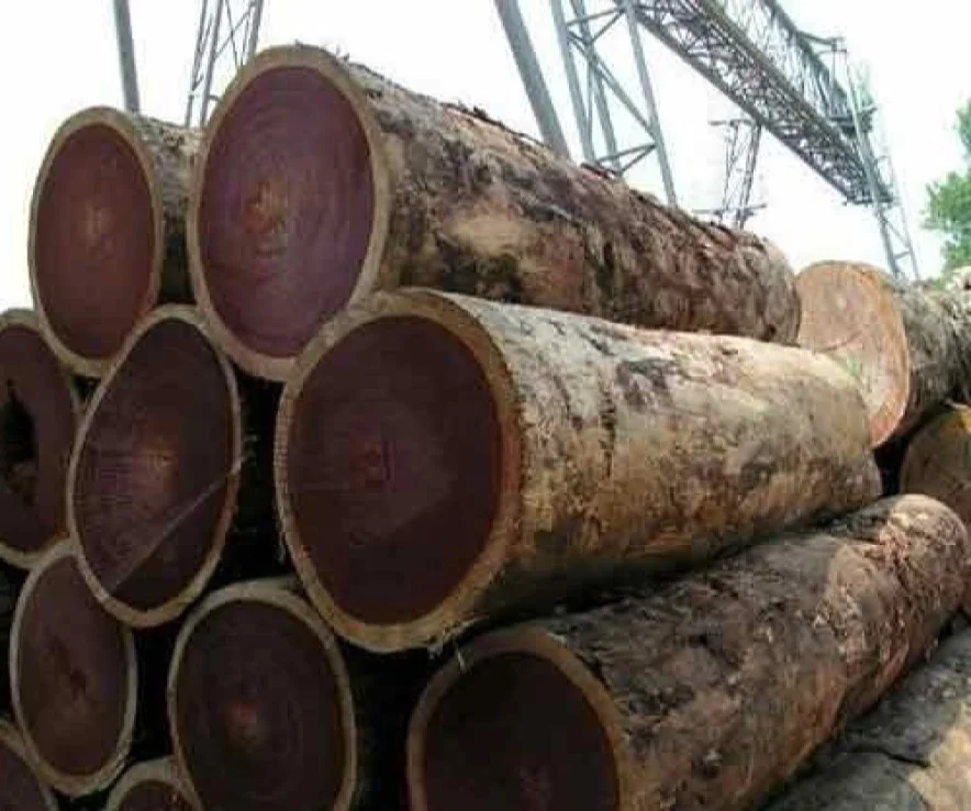 wood logs timber teak wood logs sawn timber African hard wood timber birch white pine logs