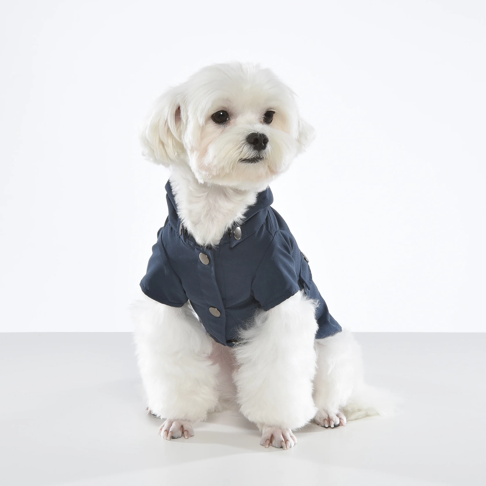 ODM Taiwan elegant dog clothes Topcoat windbreaker for small dogs