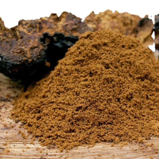 Asphaltum extract manufacturer in india Shilajit dry powder with cheap price and in bulk quantity