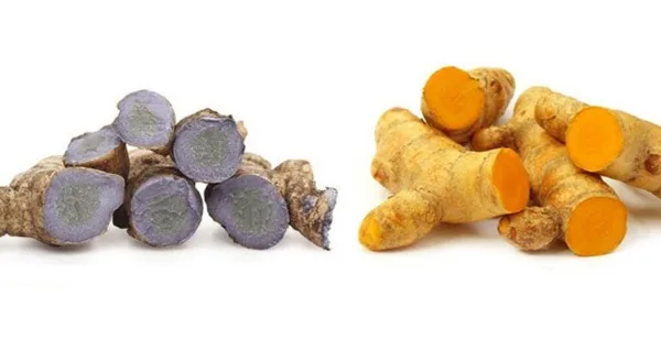Competitive Export FOB Price Dried Ban Kan Sliced dried turmeric + sliced dried black sticky turmeric