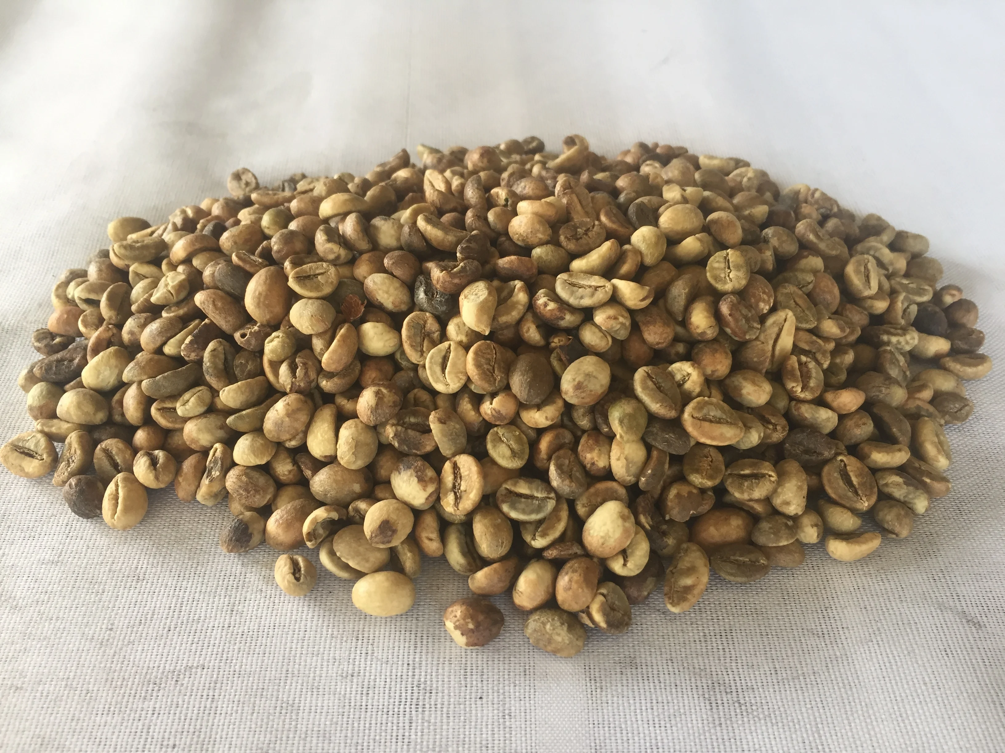  Зеленые кофейные зерна ROBUSTA TERATAI 100% натуральные лидер продаж индонезийские лучшее качество по разумной