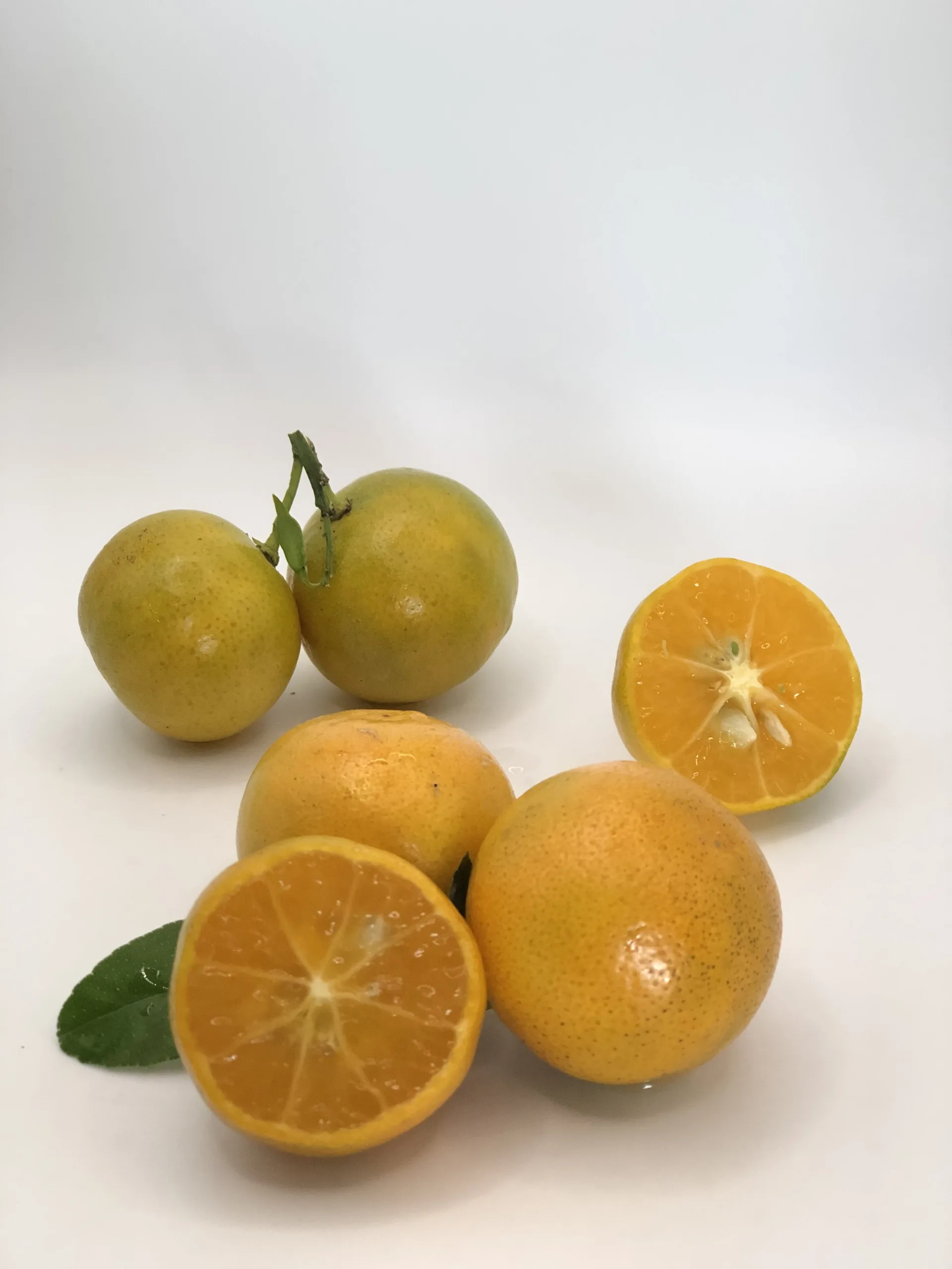 Оптовая продажа вьетнамские свежие фрукты Kumquat большое разнообразие эфирных масел от лучшего поставщика