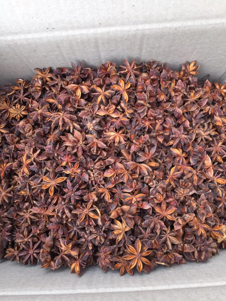 Семена аниса звезда экспортное качество Сертификат ISO HACCP самая низкая цена из Вьетнама