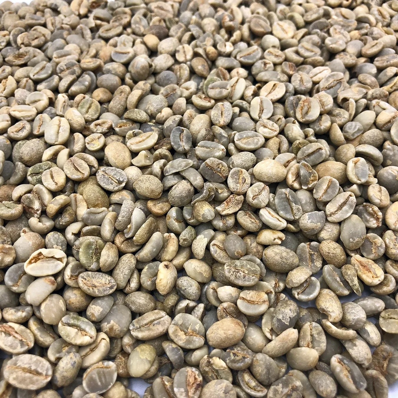 Цена необработанных зеленых и эфиопских нежареных кофейных зерен Арабики