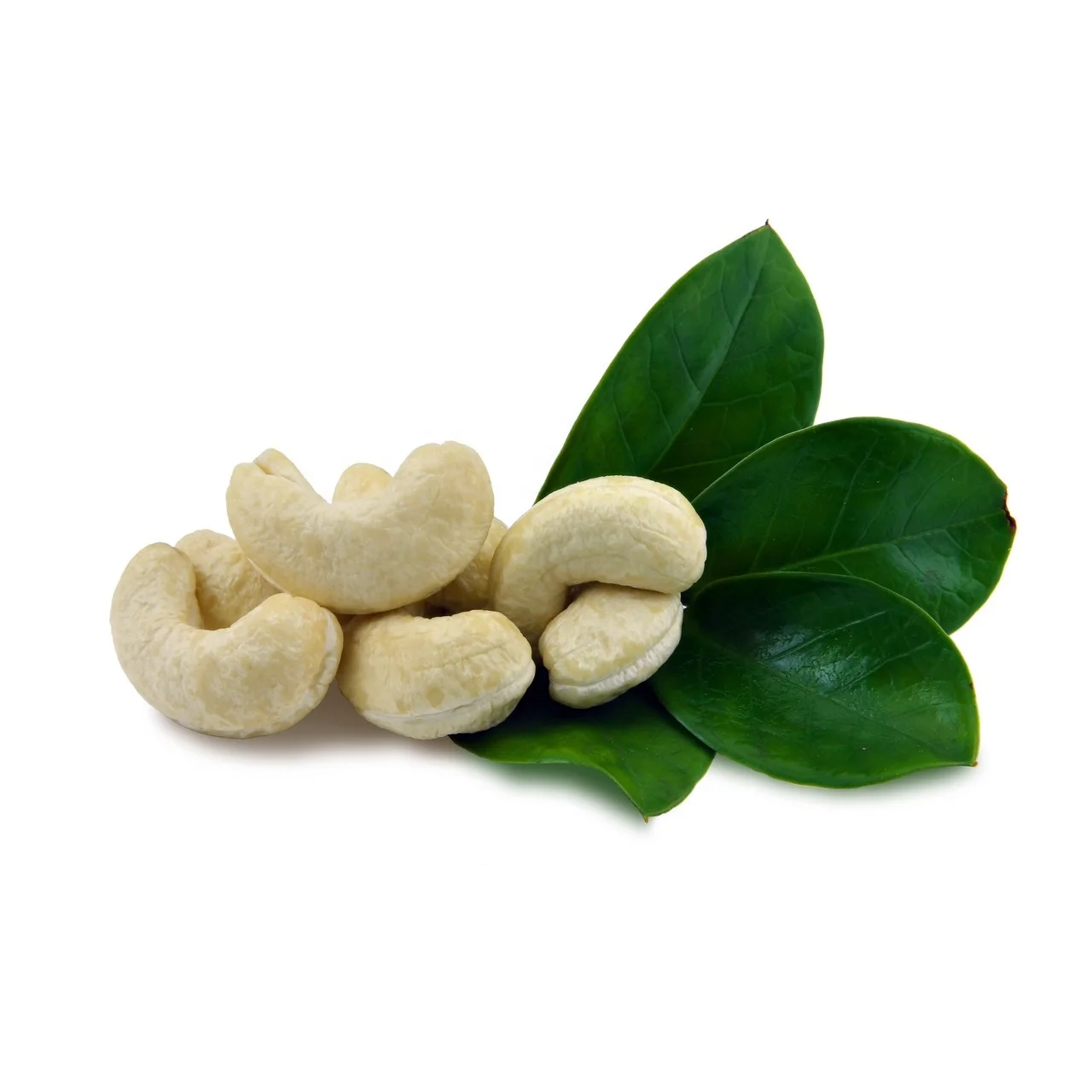 Оптовая продажа вьетнамский поставщик импорт кешью ореха