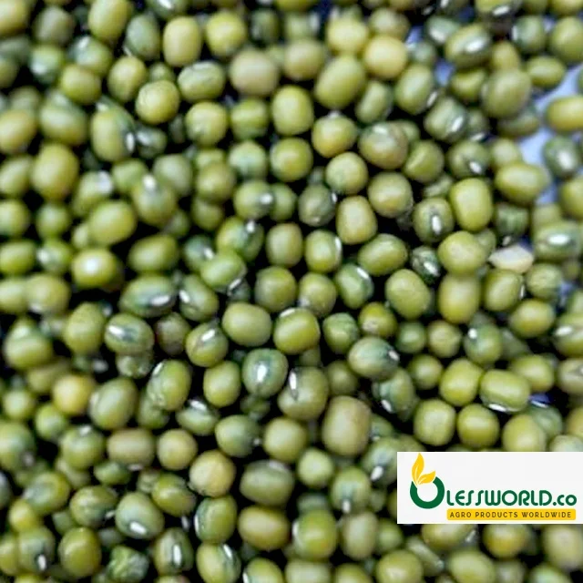 Wholesale Premium Agriculture Organic Dried Green Mung Beans
