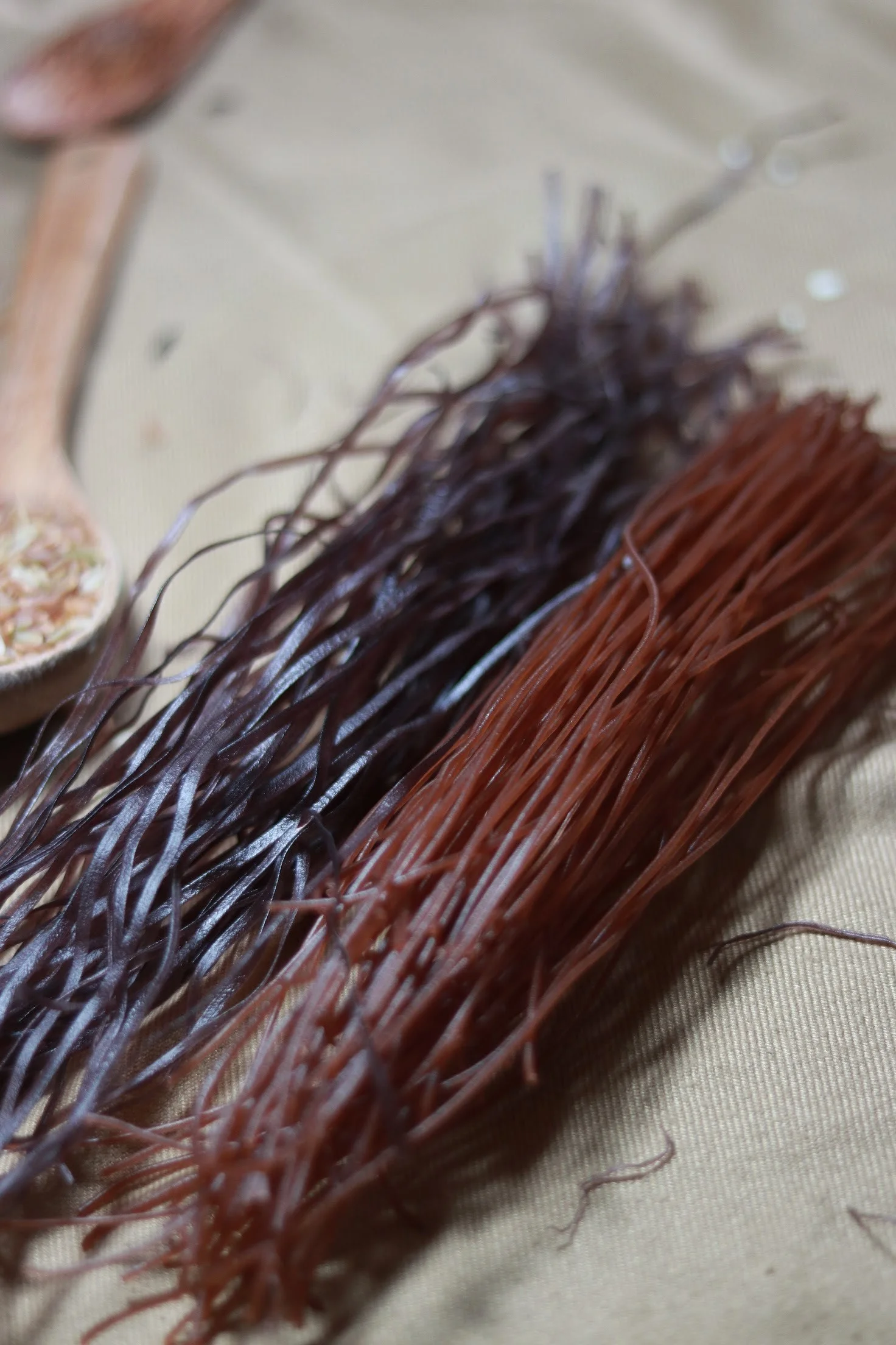 Wholesale export brown rice vermicelli/Brown noodle from Vietnam factory