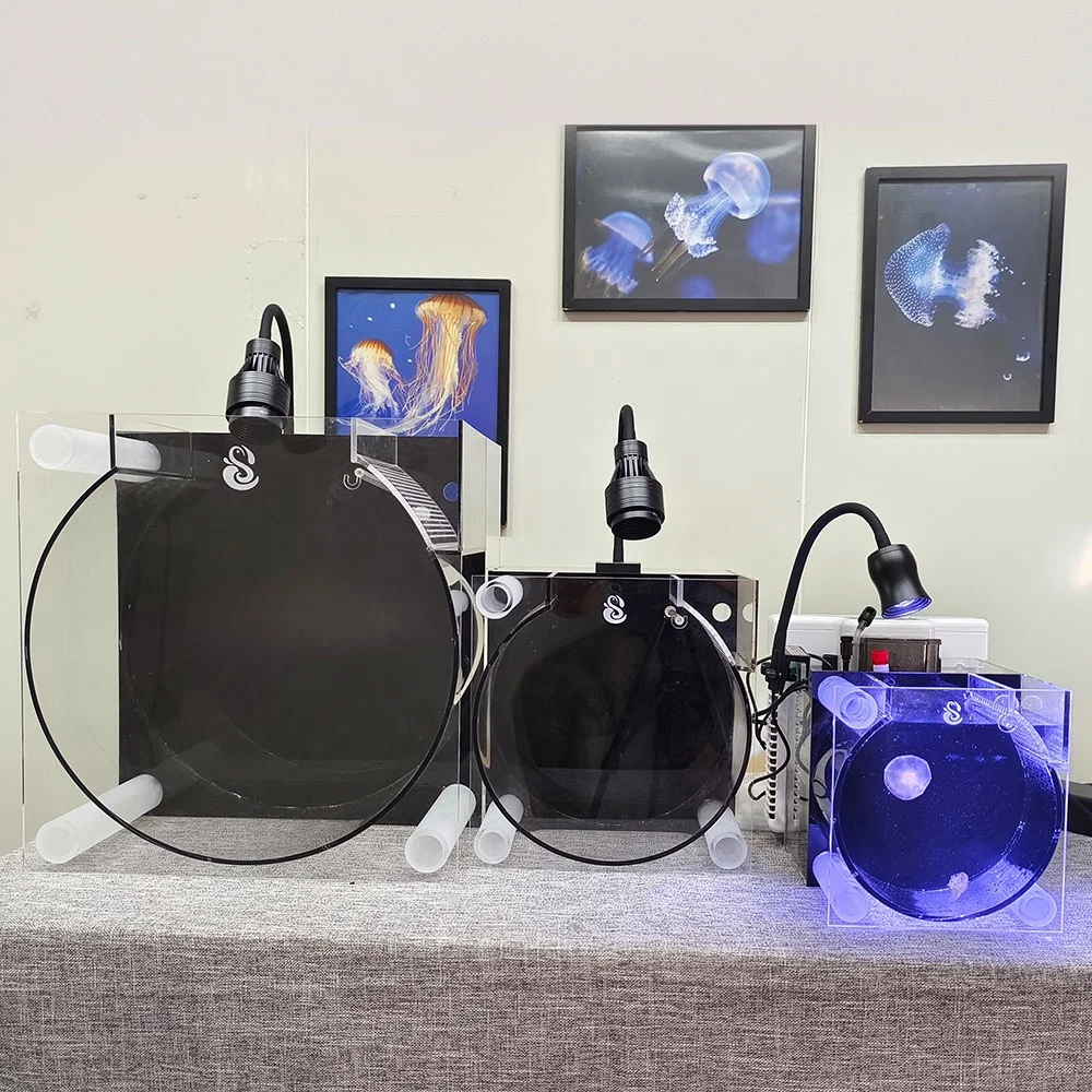 Protein Skimmers Can Enhance Water Quality in Saltwater Aquariums