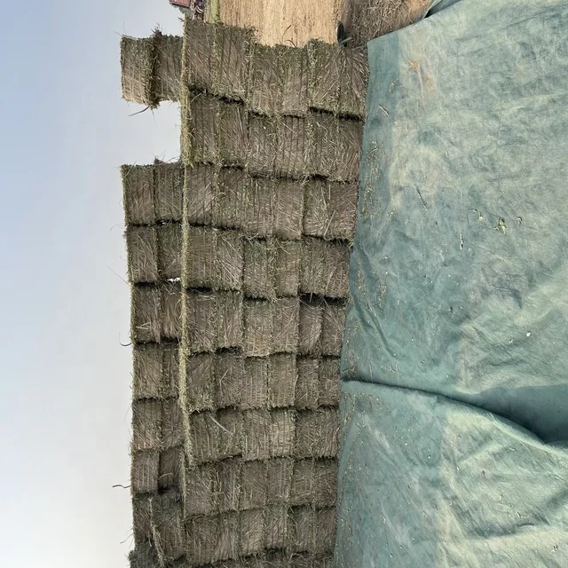 High Quality 100% Pakistani Moisture Controlled Peanut Hay for Sale in Bulk Quantity
