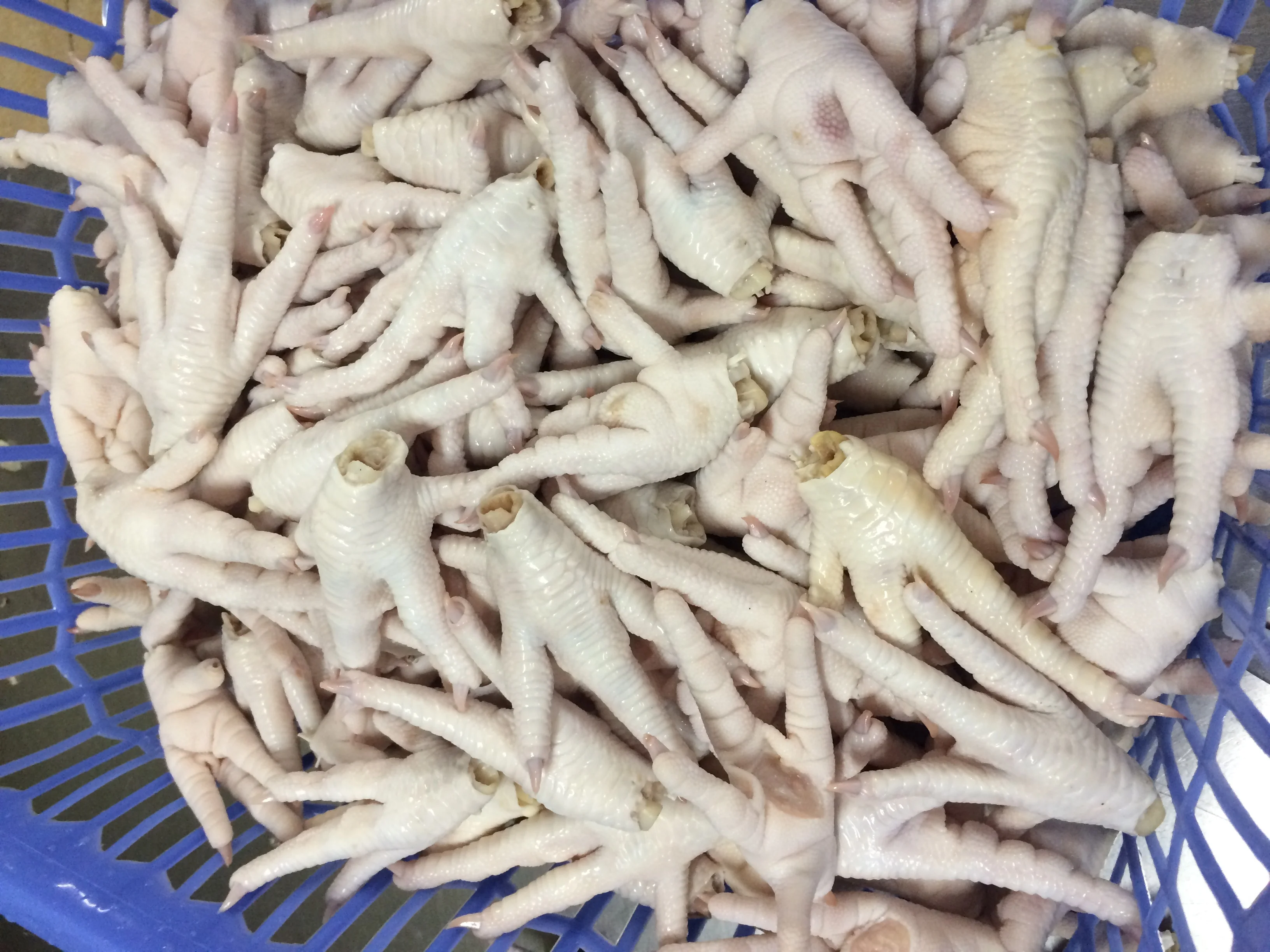 
Leg Bonless Frozen Chicken Feet - Poultry Feet 