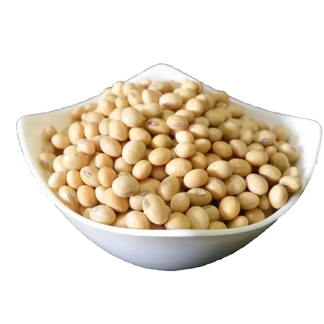 Soybean Meal Soya Bean Meal for Sale for Fish Animal Pig Poultry Feed Human Use Grain Type Packaged in Bag