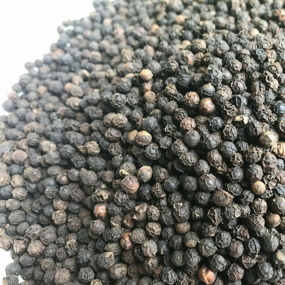 Premium quality Single Spices Vietnam pinhead black pepper origin from Vietnam reasonable price