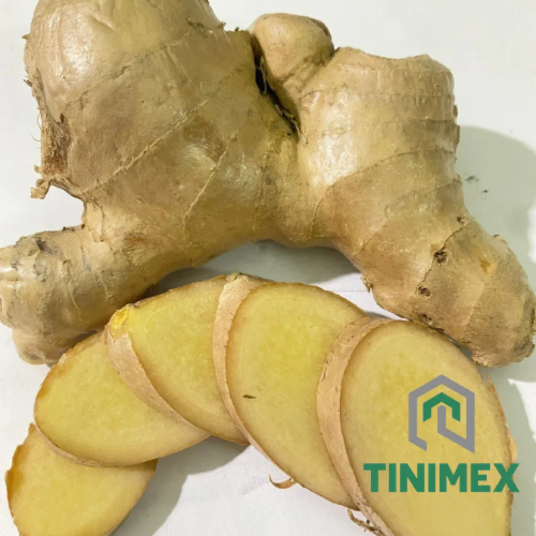 TINIMEX GINGER | High Quality Fresh Elephant Ginger From Vietnam 2024/ Fresh Ginger Export Tel 0084366808683)