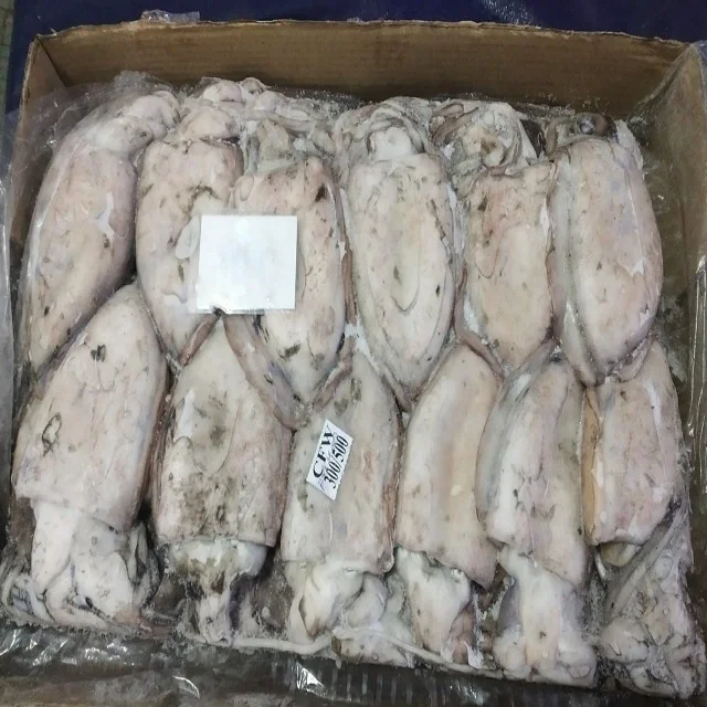 Высокое качество Замороженные каракатицы Фиш весь из Индии