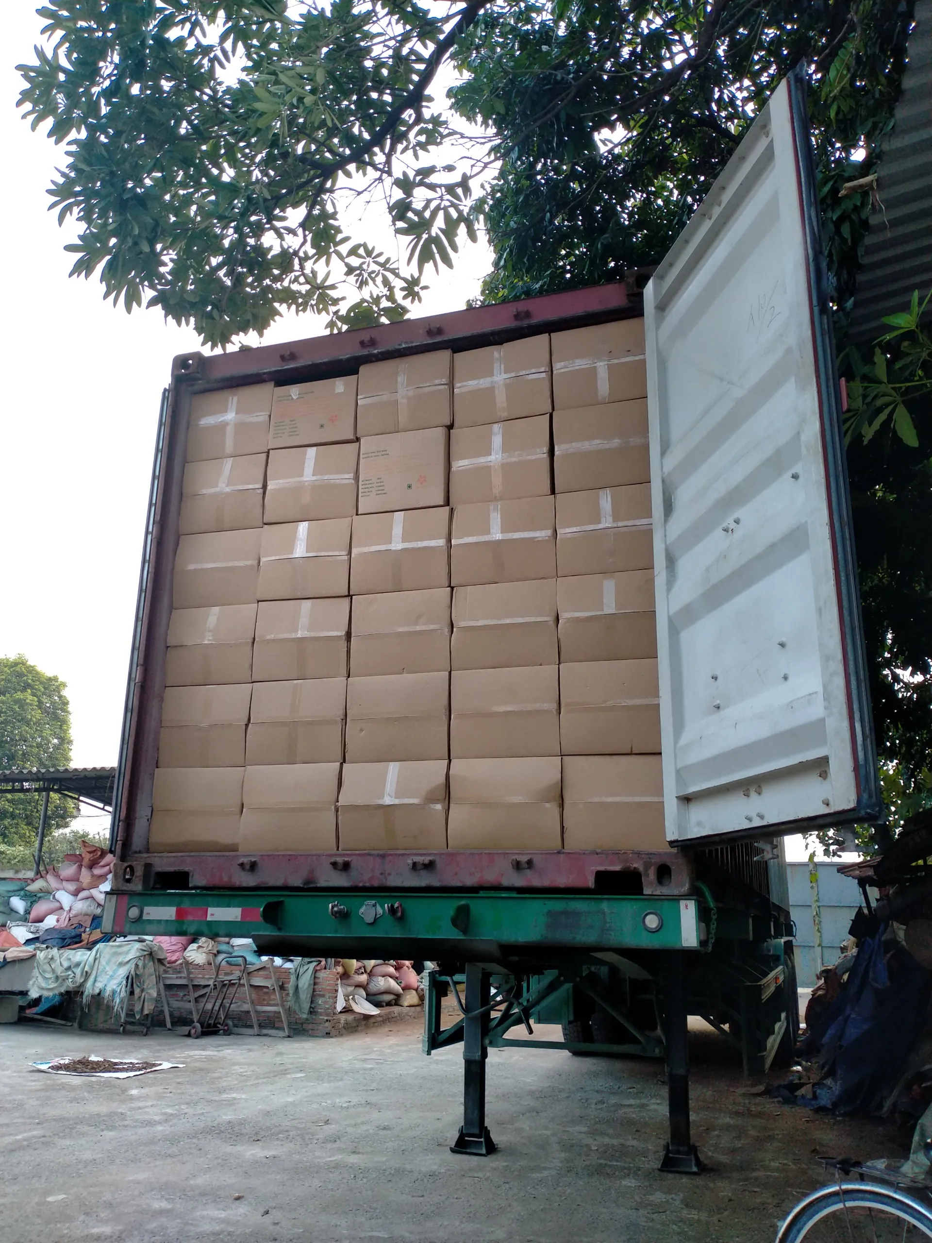 Cassia split Hot product spiece 100% Natural Dried Broken Cinnamon from Vietnam 2022 (+84 393 411 961)