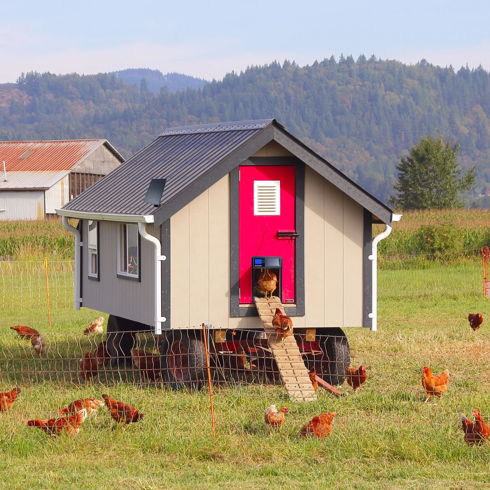 SolarGuard 24/7 Solar Powered Automatic Chicken Coop Door with Timer and Light Sensor