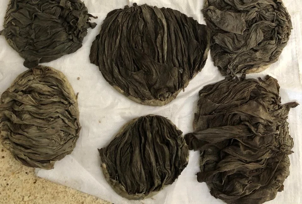 Beef Omasum Salted Dried Buffalo / Cow Omasum Dried And Salted High Quality Omasum