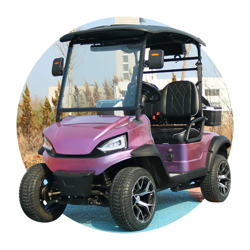 Golf Cart With Curtis Controller 2 Seater Electric Lithium Battery Golf Cart Off-Road Golf Carts