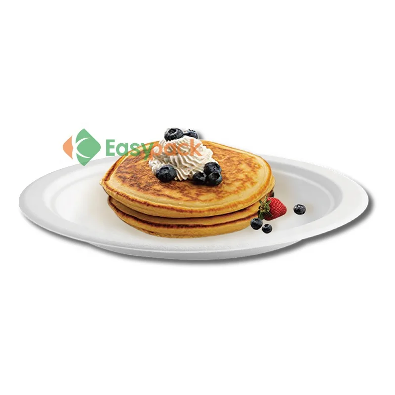 10 inch with 3-comp biodegradable white round sugarcane bagasse pulp plate