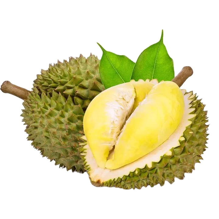 Sweet and Fresh Durian from Vietnam with Export quality Quick Response and Good price from Vietnam high quality frozen Duriann